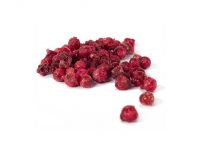 Rote Johannisbeeren